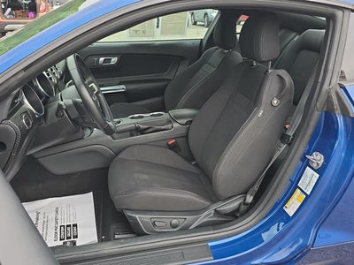2023 Ford Mustang EcoBoost