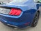 2023 Ford Mustang EcoBoost