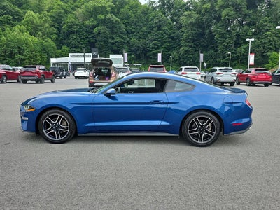 2023 Ford Mustang EcoBoost