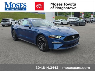 2023 Ford Mustang EcoBoost