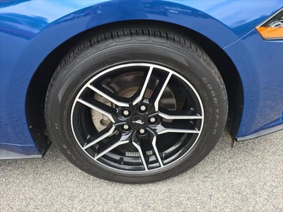 2023 Ford Mustang EcoBoost