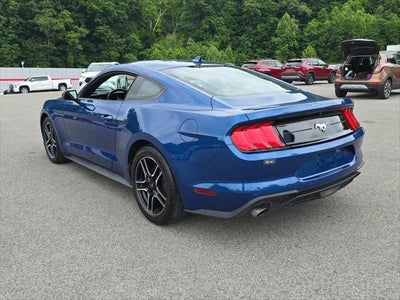 2023 Ford Mustang EcoBoost