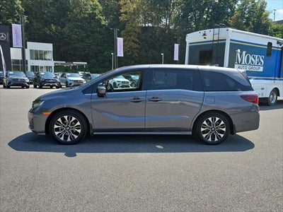2025 Honda Odyssey Elite